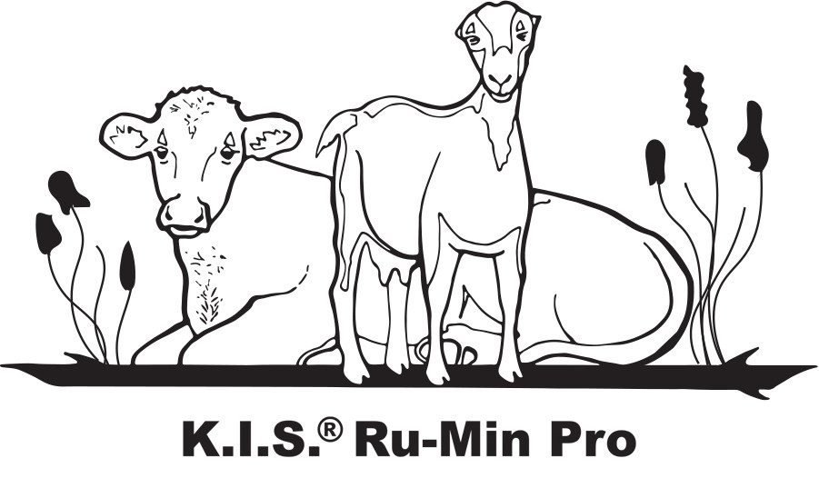 Rumin Pro Logo copy-0001
