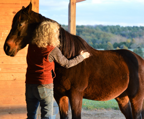 Dr. Martha M. Faraday (Ph.D.) a scientist and holistic equine nutritionist.