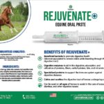 Rejuvenate Equine Oral Paste
